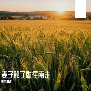 七猫精品免费版A片
